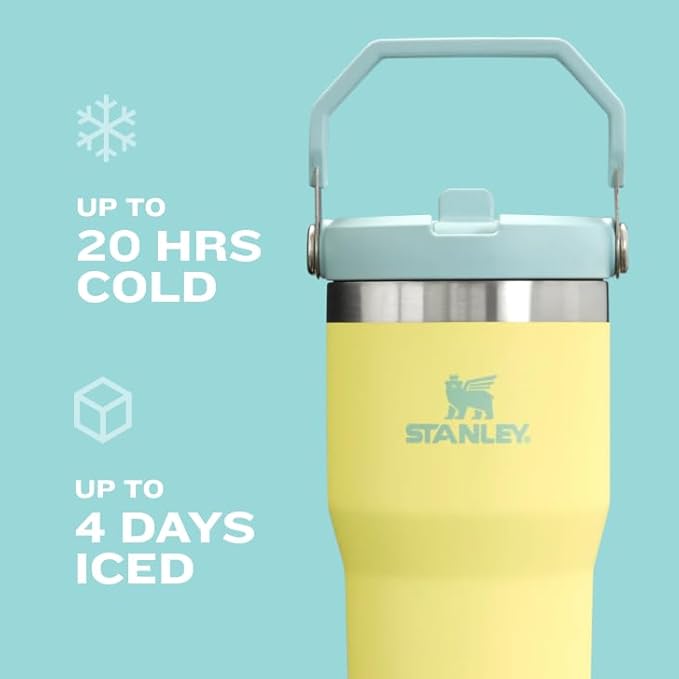 STANLEY IceFlow 2.0 Flip Straw Tumbler with Handle 30 oz | Twist On Lid and Flip Up Straw | Leak Resistant Water Bottle | Insulated Stainless Steel | BPA-Free | Chili Red