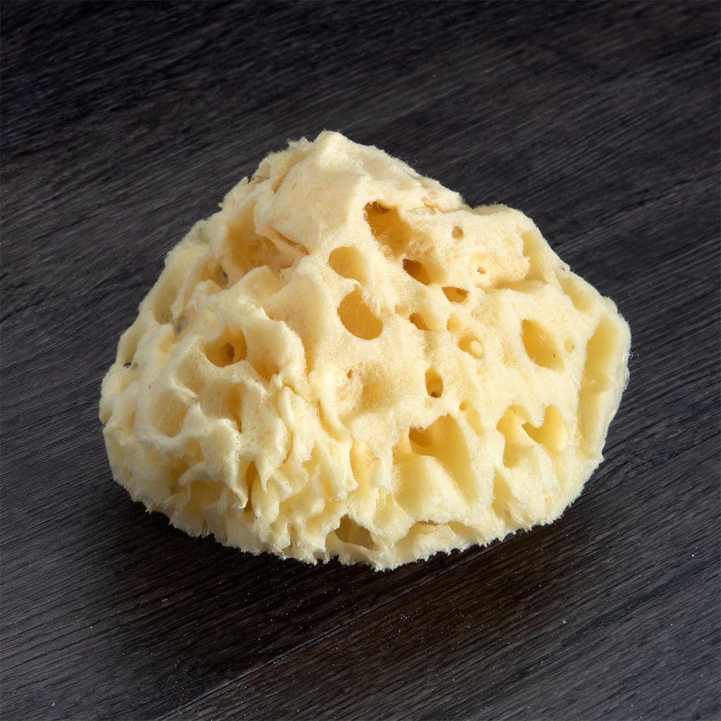 Sea Wool Sponge - All Natural Honeycomb Renewable Sea Sponge, Medium, Approx. 4 Inches