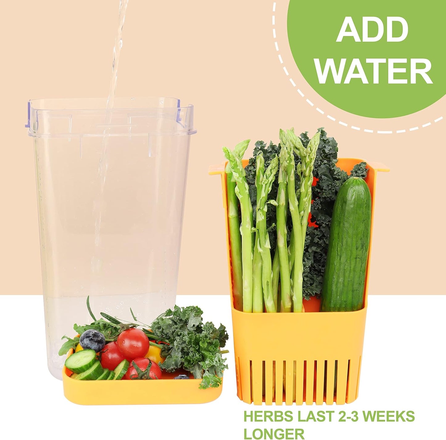 Fresh Herb Keeper for Refrigerator, Clear BPA-Free Herb Saver, Storage Container for Cilantro, Parsley, Thyme, Mint & Asparagus, Preserver Keeps Fresh Herbs for 3 Times Longer, Orange